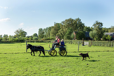 BUITEN BEELD Foto: 271471