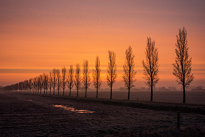 BUITEN BEELD Foto: 271521