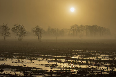 BUITEN BEELD Foto: 271537