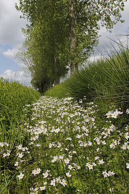 BUITEN BEELD Foto: 271621