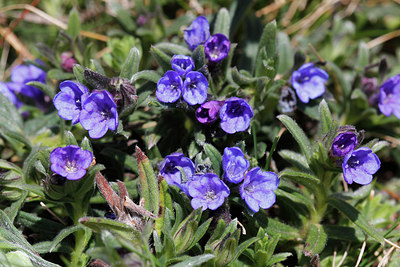 BUITEN BEELD Foto: 271739