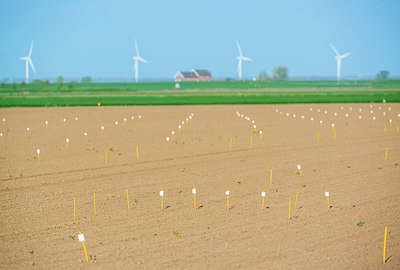 BUITEN BEELD Foto: 271830