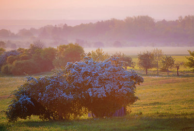 BUITEN BEELD Foto: 271844