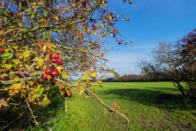 BUITEN BEELD Foto: 271890