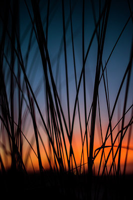 BUITEN BEELD Foto: 271903