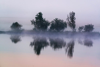 BUITEN BEELD Foto: 271988