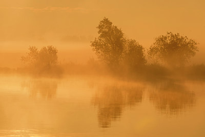 BUITEN BEELD Foto: 271990