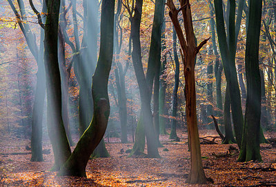 BUITEN BEELD Foto: 272003