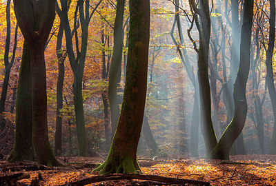 BUITEN BEELD Foto: 272005