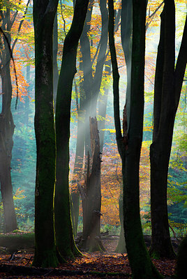 BUITEN BEELD Foto: 272009