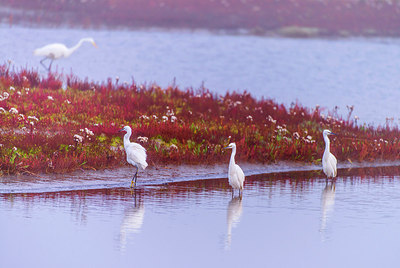 BUITEN BEELD Foto: 272074