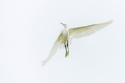 BUITEN BEELD Foto: 272075