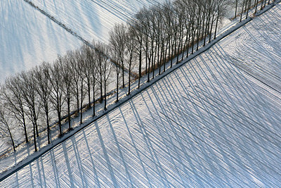 BUITEN BEELD Foto: 272149