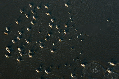 BUITEN BEELD Foto: 272168