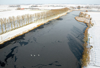 BUITEN BEELD Foto: 272307