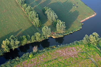 BUITEN BEELD Foto: 272337