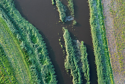 BUITEN BEELD Foto: 272363