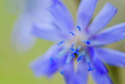 BUITEN BEELD Foto: 272421