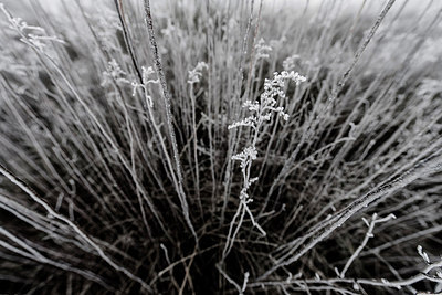 BUITEN BEELD Foto: 272454