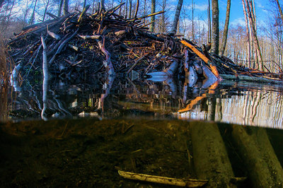 BUITEN BEELD Foto: 272502