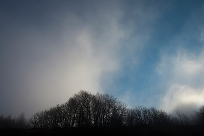 BUITEN BEELD Foto: 272527