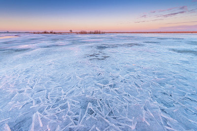 BUITEN BEELD Foto: 272529