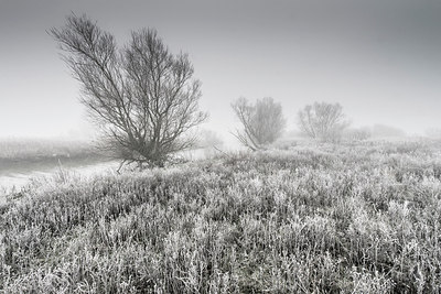 BUITEN BEELD Foto: 272548