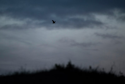 BUITEN BEELD Foto: 272595