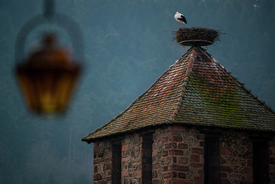 BUITEN BEELD Foto: 272600