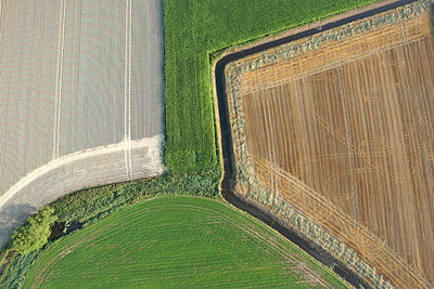 BUITEN BEELD Foto: 272626