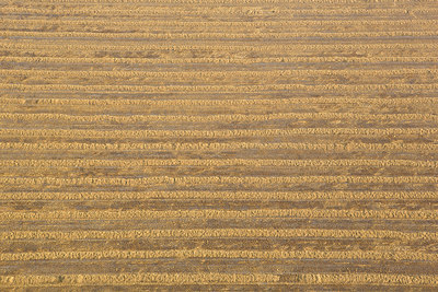 BUITEN BEELD Foto: 272629
