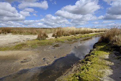 BUITEN BEELD Foto: 272752