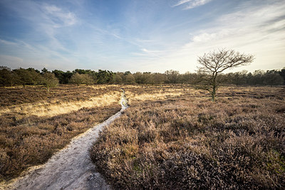 BUITEN BEELD Foto: 272814