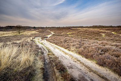 BUITEN BEELD Foto: 272817