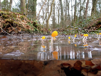 BUITEN BEELD Foto: 272830