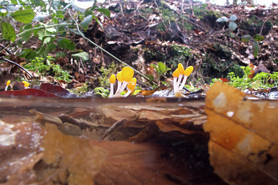 BUITEN BEELD Foto: 272844