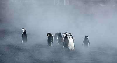 BUITEN BEELD Foto: 272972