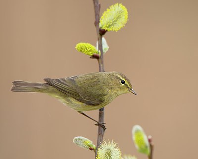 BUITEN BEELD Foto: 273060