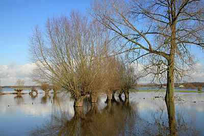 BUITEN BEELD Foto: 273204