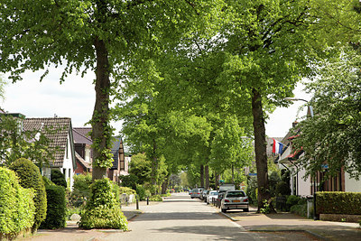 BUITEN BEELD Foto: 273208