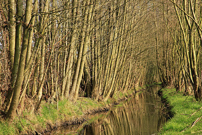 BUITEN BEELD Foto: 273227