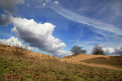 BUITEN BEELD Foto: 273239