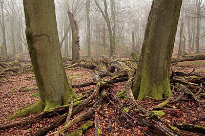 BUITEN BEELD Foto: 273240