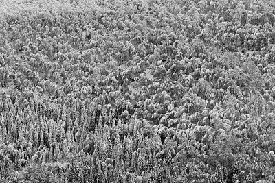 BUITEN BEELD Foto: 273278