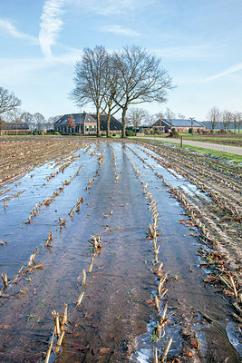 BUITEN BEELD Foto: 273369