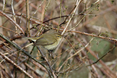 BUITEN BEELD Foto: 273372