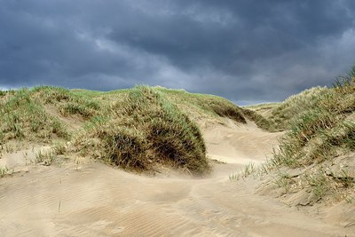 BUITEN BEELD Foto: 273383