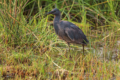 BUITEN BEELD Foto: 273427