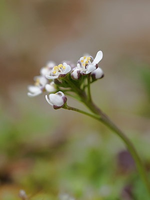 BUITEN BEELD Foto: 273456