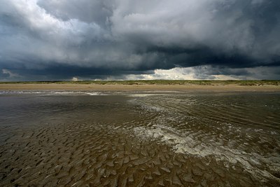 BUITEN BEELD Foto: 273474